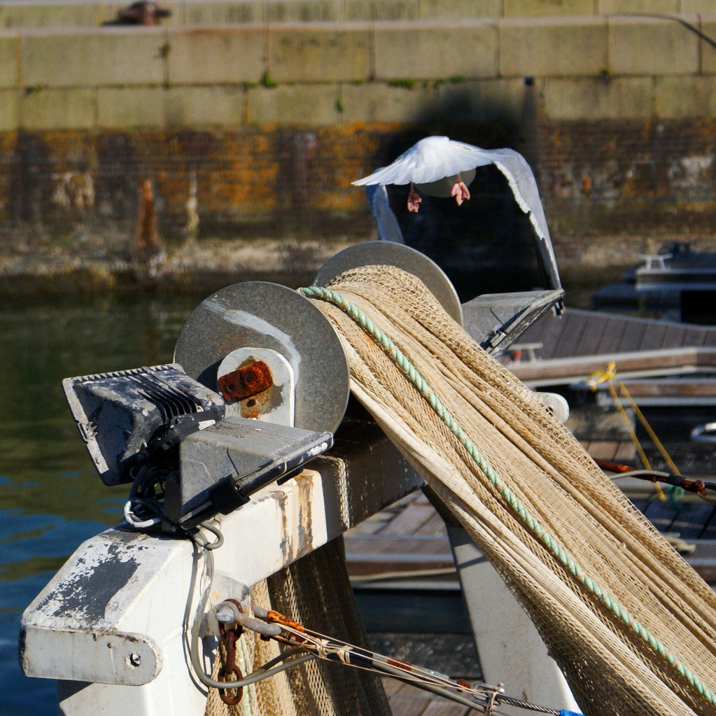 Honfleur