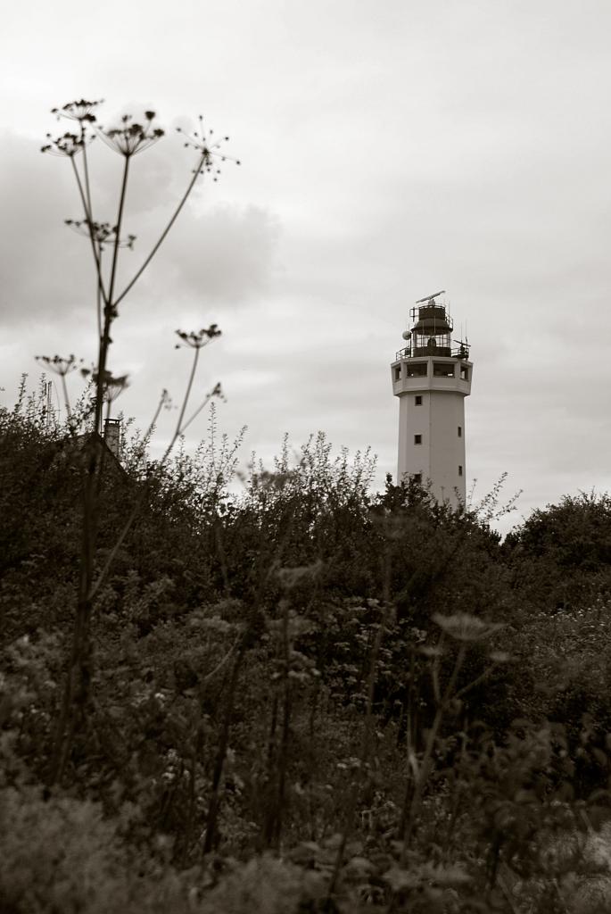 Sainte-Adresse